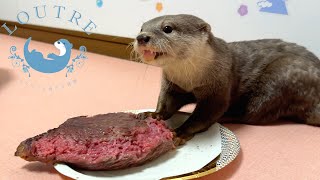 A Tiny Otter Takes on A Giant Meat Challenge [upl. by Lil]