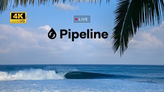 Watch Raw Pipeline in 4K UltraHD  November 25th 2023 [upl. by Ellison]