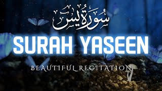 Surah Yaseen Beautiful Recitation  Mishary Bin Rashid Alafasi  Hindi Tarjuma surahyasin [upl. by Nnyleak]