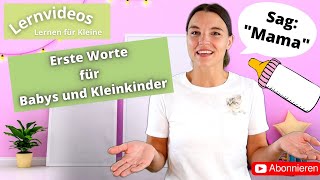 Lernen für Kleine mit Miss Josi  Lernvideos für Babys und Kleinkinder  Erste Worte  Folge 1 [upl. by Eiznekcam]