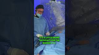 FARAWAVE Pulsed Field Ablation [upl. by Yarehs]