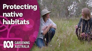 Exploring the conservation efforts reconnecting vulnerable species  Discovery  Gardening Australia [upl. by Vitia]