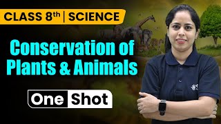 Conservation of Plants and Animals Class 8  Class 8 Science Chapter 7  Class 8th NCERT  eSaral [upl. by Lauder]