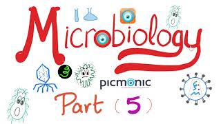 Microbiology  Bacillus anthracis Bacillus cereus Mycobacteria TB Leprosy  Picmonic  Part 5 [upl. by Eilsek]