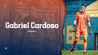 HIGHLIGHTS Melhores Momentos Gabriel Cardoso  Goleiro [upl. by Akino262]