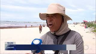 Algas marinhas afastam banhistas na Praia do Forte e causam prejuízos em Cabo Frio [upl. by Gove]