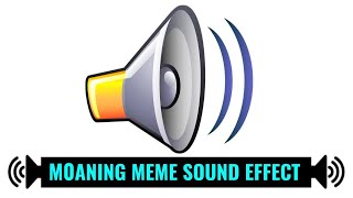 Loud Moaning MEME Sound Effect 1 Hour [upl. by Nathanoj403]