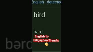 Translating bird English to hiligaynon💀 [upl. by Aynatan]