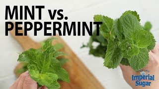 The Difference Between Mint amp Peppermint [upl. by Zacharie]