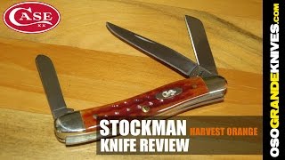 Case Stockman Pocket Worn Harvest Orange Jig Bone Knife Review  OsoGrandeKnives [upl. by Eniledgam]