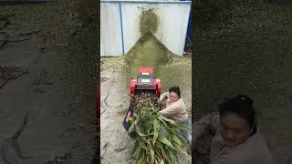 High discharge corn stalk particle crushing machine [upl. by Nirrad78]