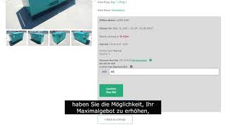 So bieten Sie in einer zeitgesteuerten OnlineAuktion  Euro Auctions [upl. by Silrak]