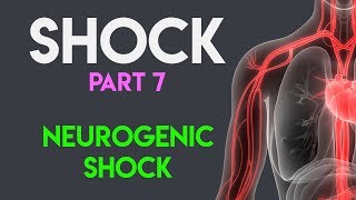 Neurogenic Shock  Shock Part 7 [upl. by Adrahc75]