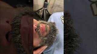 Julian’s Dry Beard Journey without his BELOVED Primp See what we used instead PART 1 [upl. by Johan]