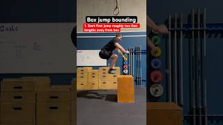 Box jump bounding  Movement technique video [upl. by Anaihr499]