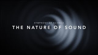 THE NATURE OF SOUND  SYMPHONY OF SCIENCE [upl. by Eesdnyl]