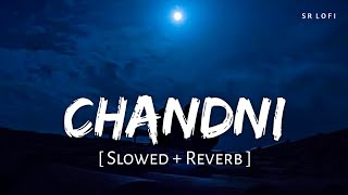 Chandni Slowed  Reverb  Sachet Tandon Parampara Tandon  SR Lofi [upl. by Leta101]