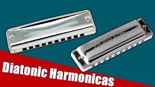 Diatonic Harmonicas  5 Best Diatonic Harmonicas 2021 [upl. by Nnaeerb]