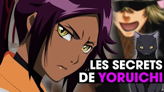 La VÉRITÉ sur le ZANPAKUTO de YORUICHI amp sa TRANSFORMATION en CHAT [upl. by Scherle]