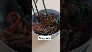 Playing Magnets entertainment share shortsvideo subscribe share [upl. by Usanis]