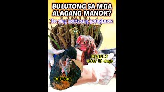 Bulutong ng manok paraan ng pagtanggal [upl. by Ninetta]