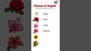 Flowers in English Expand Your Vocabulary with Beautiful Blooms learnenglish flowers english [upl. by Arraek]