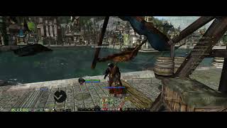 Lotro Hunter silent gameplay no gear 141  142 lvl up Kings Gondor [upl. by Morette]