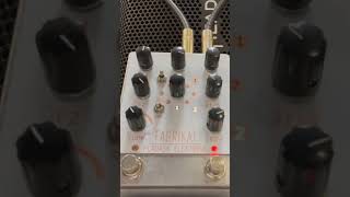 Pladask Elektrisk Fabrikat delay pedal with Agile Legacy 627 baritone guitar sad riff [upl. by Sucramraj]