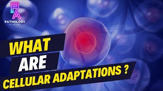 What Are Cellular Adaptations By Dr Aditi Kumar MD Pathology [upl. by Atreb]