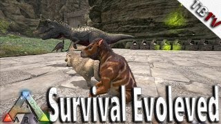 Ark Survival Evolved  BABIES FOR DAYS  Chalicotherium Breeding  Ark Survival S3E14  TagBackTV [upl. by Bryanty]