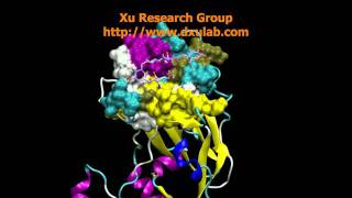 MD Simulation of H5N1 Influenza Virus [upl. by Aufa]