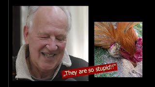 Werner Herzog  The Overwhelming Stupidity of Chickens [upl. by Anitsud]