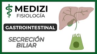 Clase 51 Fisiología Gastrointestinal  Secreción Biliar IGdoctorpaiva [upl. by Analak421]