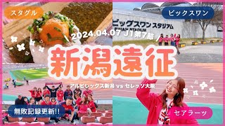 vlog日帰り新潟遠征🚙🧡 7戦無敗はさすがに強過ぎる🥹✨｜ セレッソ大阪 アルビレックス新潟 デンカビッグスワンスタジアム 🏟️ [upl. by Irab]