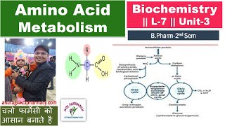 Amino Acids Metabolism Steps  L7 Unit3 Biochemistry [upl. by Acinomal]