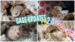 Hamster Cage Updates 20 [upl. by Acisset]