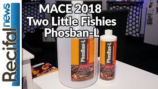 MACE 2018  Two Little Fishies Phosban L v2 [upl. by Luapnoj]