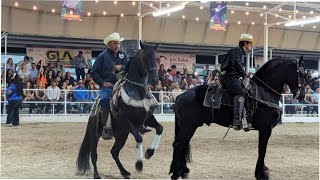 CABALLOS BAILADORES Expo Gan Sonora 2024 [upl. by Dwayne788]