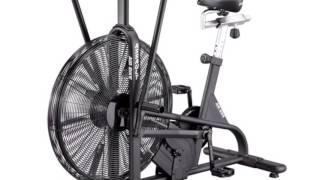 Airdyne vs Air Assault Bike Comparison [upl. by Ritchie895]