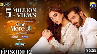 Sun mera dill episode  12English subtitlesMaya aliWahaj aliHar pal geo [upl. by Ellehsyt787]