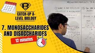 Monosaccharides and disaccharides [upl. by Nauqe]