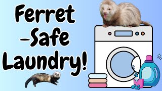 Your FERRETS will LOVE this ZERO Fragrance Laundry Liquid [upl. by Rieger]