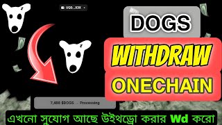 DOGS Withdraw ON TONKEEPER Claim ONECHAIN NEW OPTION [upl. by Alket904]