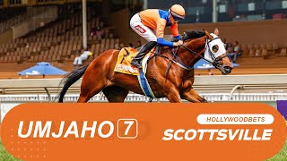 20241124 isiZulu Hollywoodbets Scottsville Race 7 won by AYUWI YUWI [upl. by Osric]