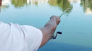 Big fishing videos City angler catch a big catla fish by fishing rod [upl. by Asiruam]