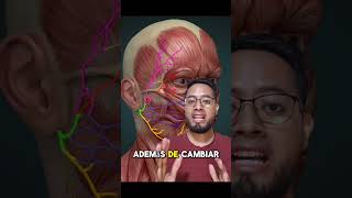 Causas de la parálisis facial anatomia fisioterapia dolor rehabilitación animation medicina [upl. by Zehe]