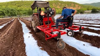 COMO INSTALAMOS EL ACOLCHADO AGRÍCOLA  AgroSin [upl. by Astrahan]