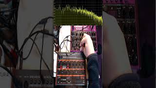 Behringer Grind an Edge Friday Quick Jam Short 081124  synthesizer dawless synthjam [upl. by Tsenrae456]