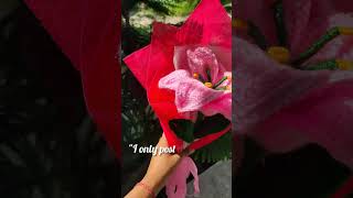 A fun fact  Lily crochet flower bouquet viralvideo trending [upl. by Naie]