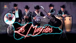 Los Mayitos De Sinaloa  El Pollo De Bachi DEP 2012 [upl. by Surovy756]